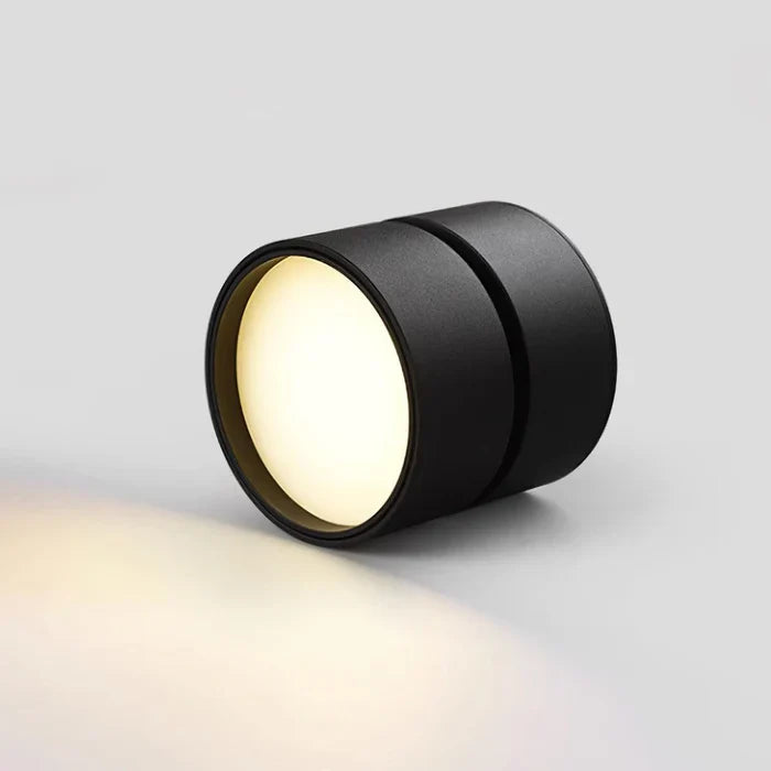 Modern Adjustable LED Ceiling Light