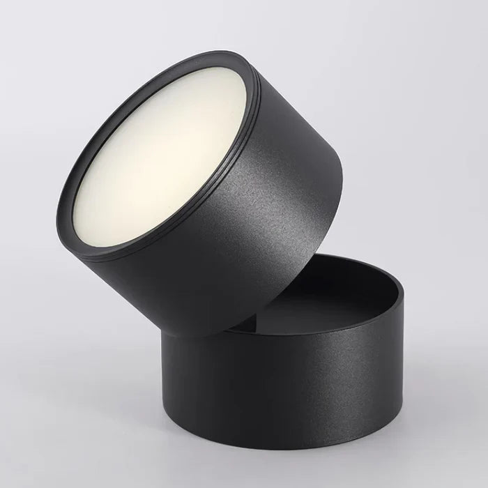 Modern Adjustable LED Ceiling Light