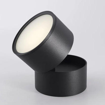 Modern Adjustable LED Ceiling Light