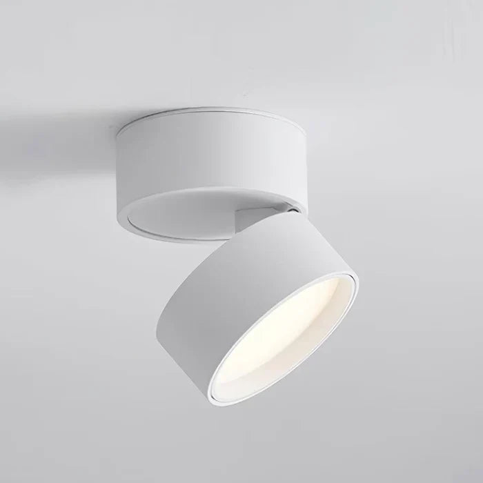Modern Adjustable LED Ceiling Light
