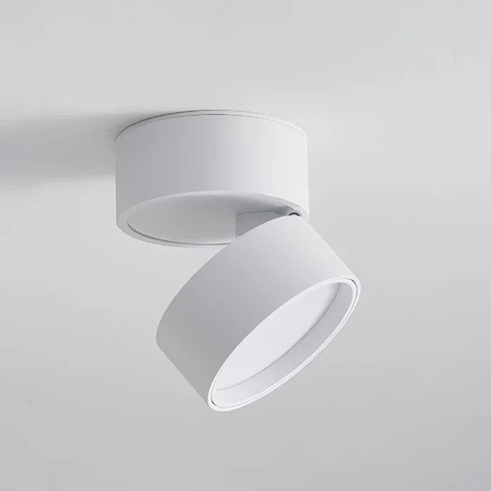 Modern Adjustable LED Ceiling Light