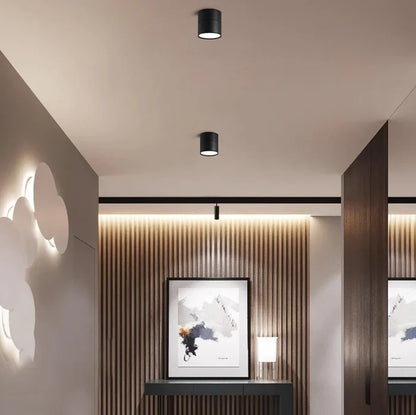 Modern Adjustable LED Ceiling Light