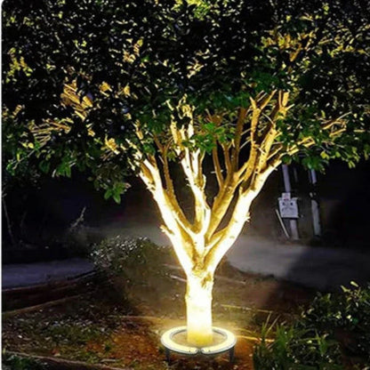 360° LED Ring Ground Light for Trees, Driveways & Garden Landscapes