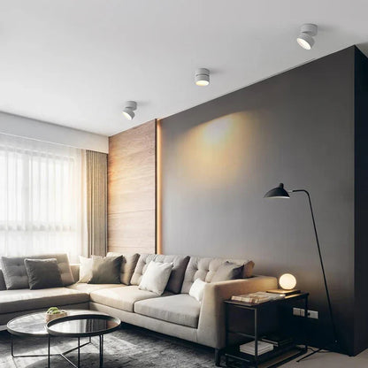 Modern Adjustable LED Ceiling Light