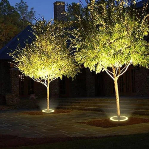 360° LED Ring Ground Light for Trees, Driveways & Garden Landscapes