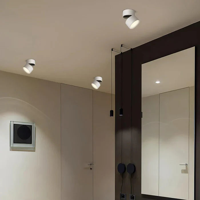 Modern Adjustable LED Ceiling Light