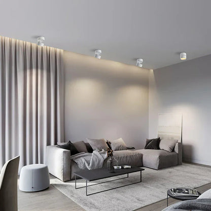 Modern Adjustable LED Ceiling Light