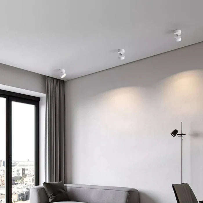 Modern Adjustable LED Ceiling Light