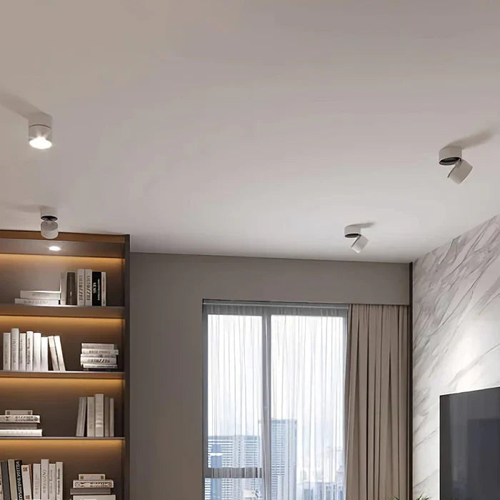 Modern Adjustable LED Ceiling Light