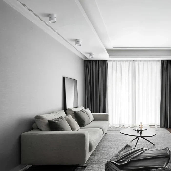 Modern Adjustable LED Ceiling Light
