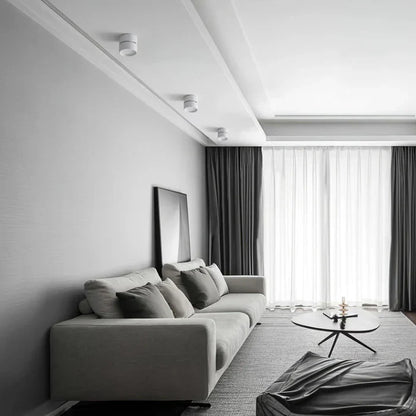 Modern Adjustable LED Ceiling Light