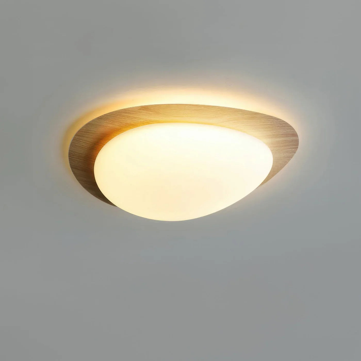 Modern LED Ceiling Light with Wooden Accent