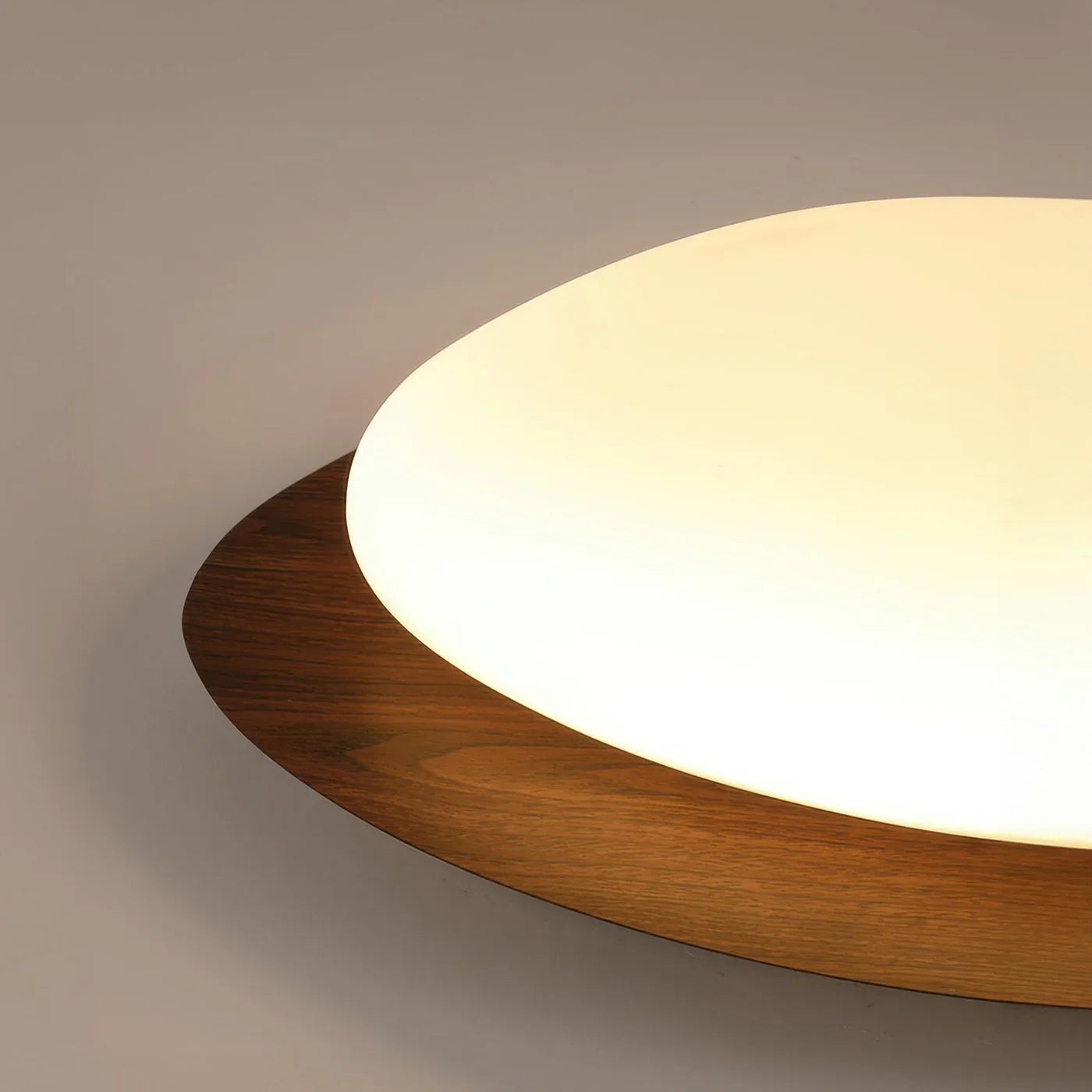Modern LED Ceiling Light with Wooden Accent