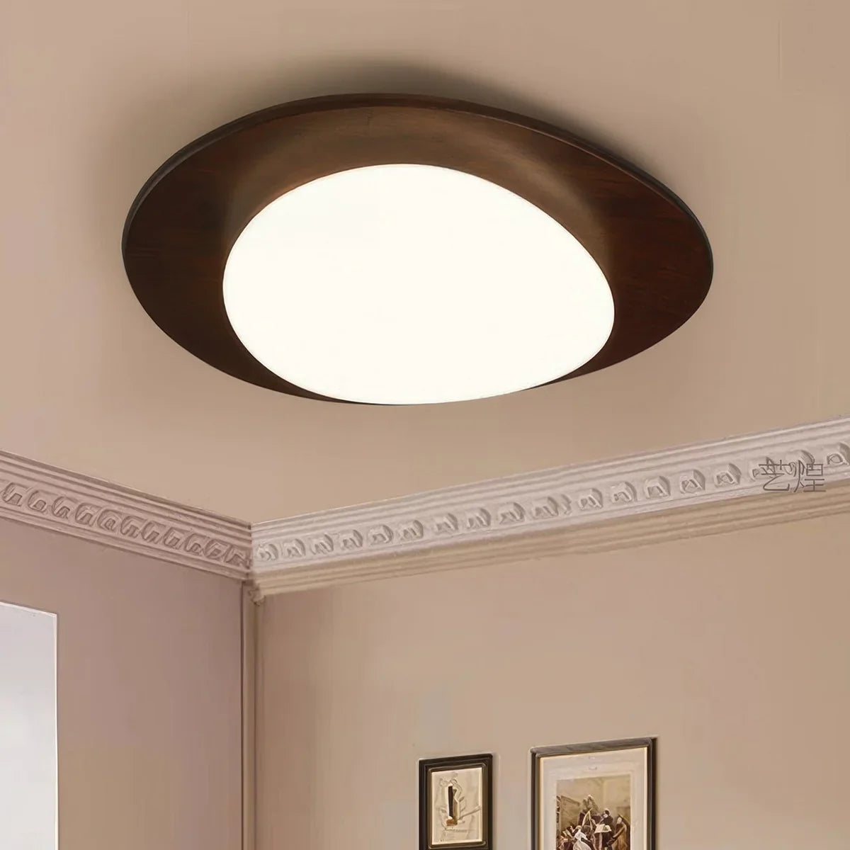 Modern LED Ceiling Light with Wooden Accent