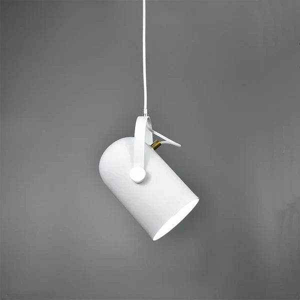 Modern Adjustable Pendant Light – Colourful Designer Ceiling Lamp
