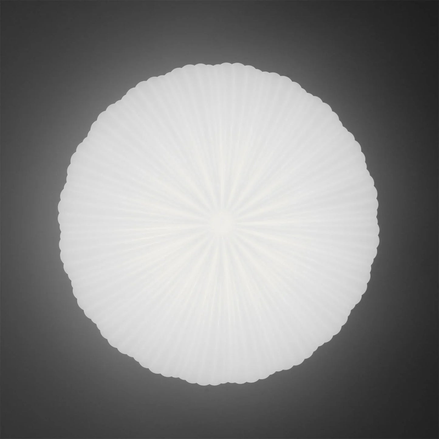 Modern Dome Ceiling Light – Shell-Inspired Japandi Style