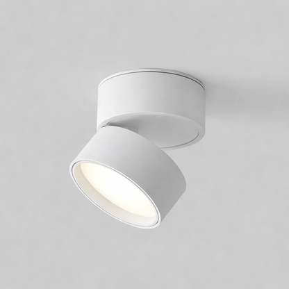 Modern Adjustable LED Ceiling Light