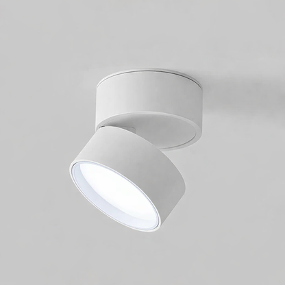 Modern Adjustable LED Ceiling Light