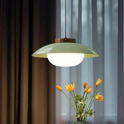 Modern Glass Pendant Light with Wooden Accent – Minimalist Design
