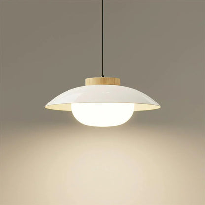 Modern Glass Pendant Light with Wooden Accent – Minimalist Design